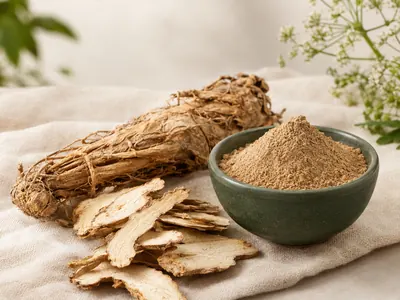 Dried dong quai root slices and root powder