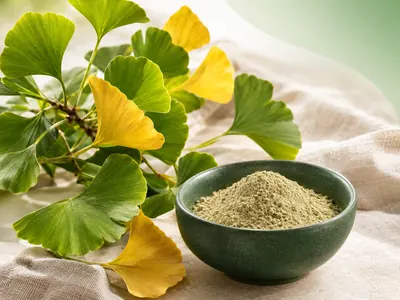 Ginkgo biloba leaves with a bowl of ginkgo leaf powder